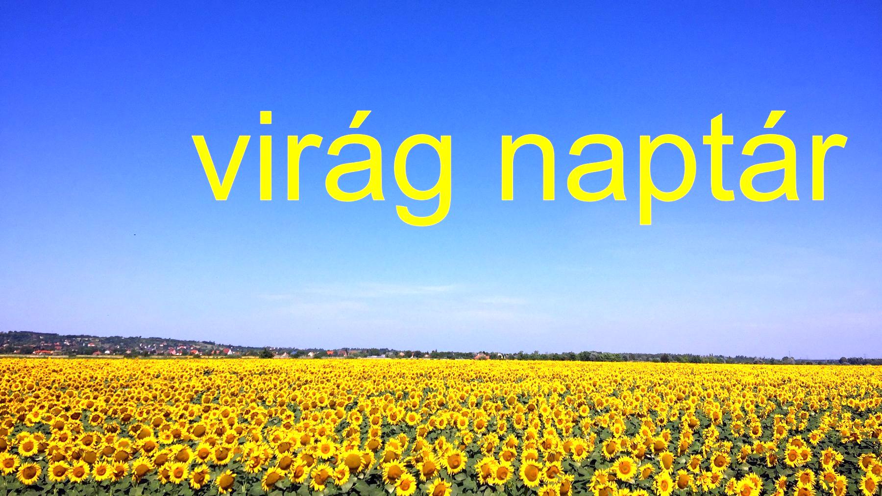 virág naptár