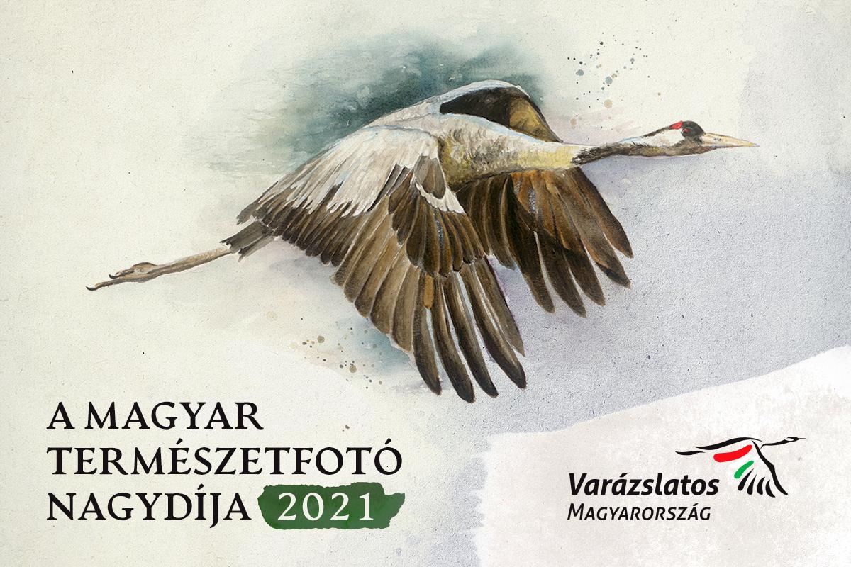 varázslatos magyarország nagydíj